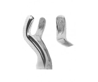 Extracting Forceps With Anatomically Shaped Handle